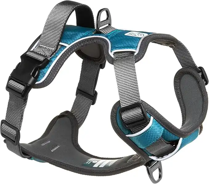 Embark Pets Adventure Dog Harness, Easy On and Off with Front and Back Lead Attachments & Control Handle - No Pull Training, Size Adjustable and No Choke (Medium Teal Blue)