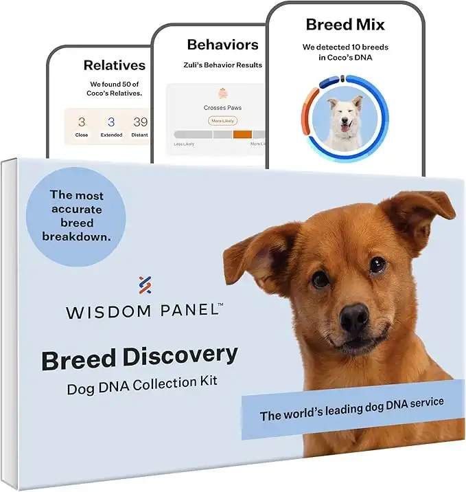 Wisdom Panel Breed Discovery Dog DNA Kit: Most Accurate Dog Breed Identification, Test for 365+ Breeds, MDR1 Health Test, Ancestry, Relatives